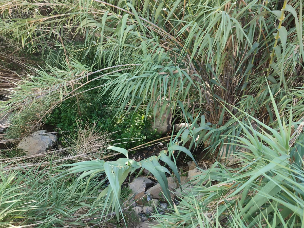 Se vende Terreno Rustico  en Costa Del Sol, Málaga, España