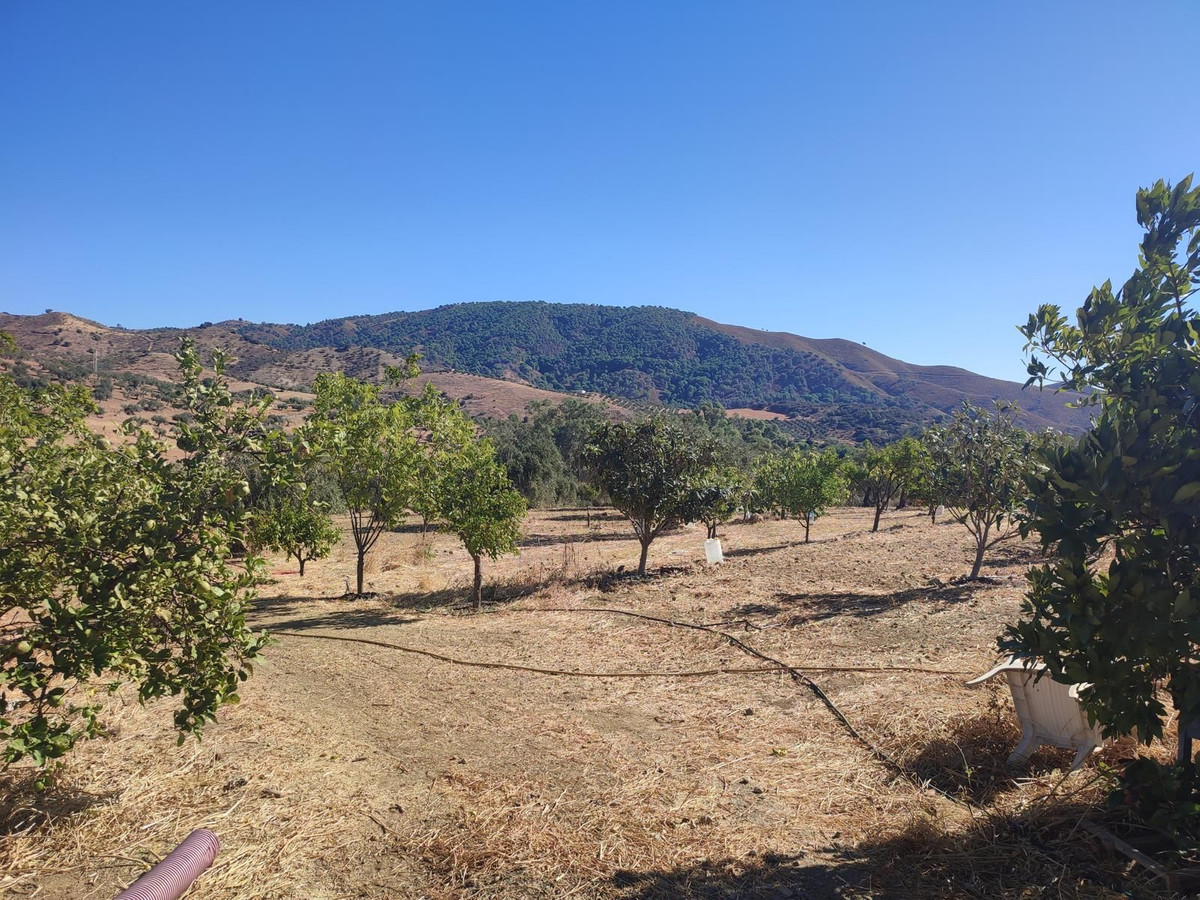 Se vende Terreno Rustico  en Costa Del Sol, Málaga, España