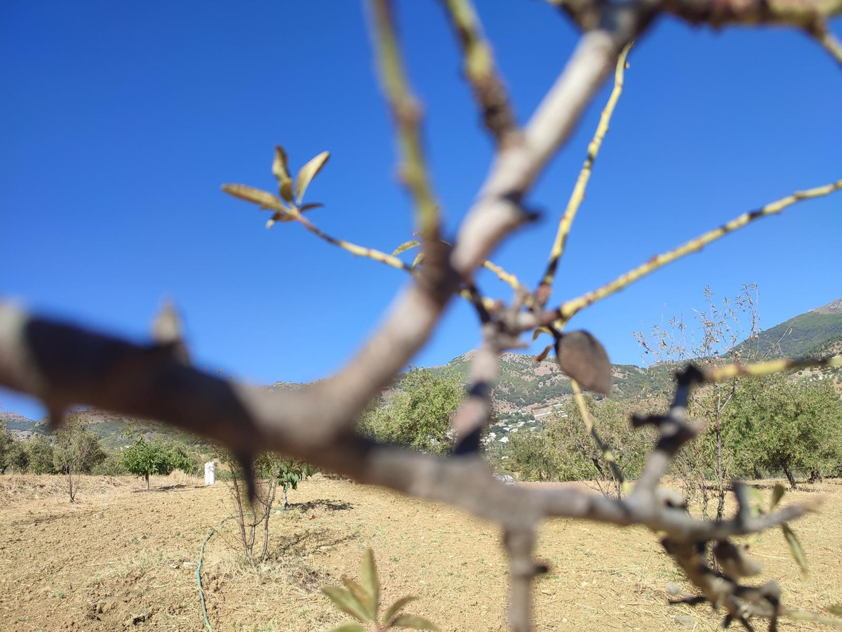 Se vende Terreno Rustico  en Costa Del Sol, Málaga, España