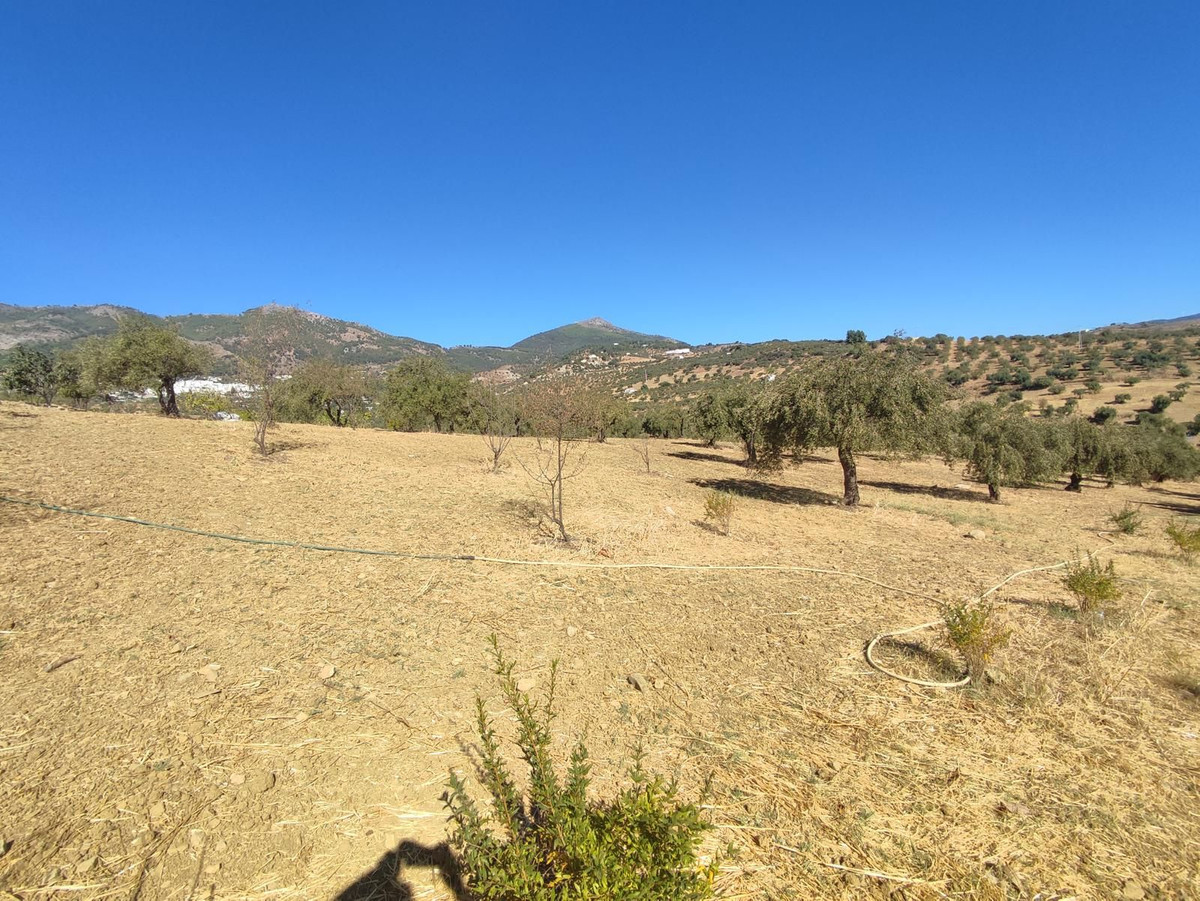 Se vende Terreno Rustico  en Costa Del Sol, Málaga, España