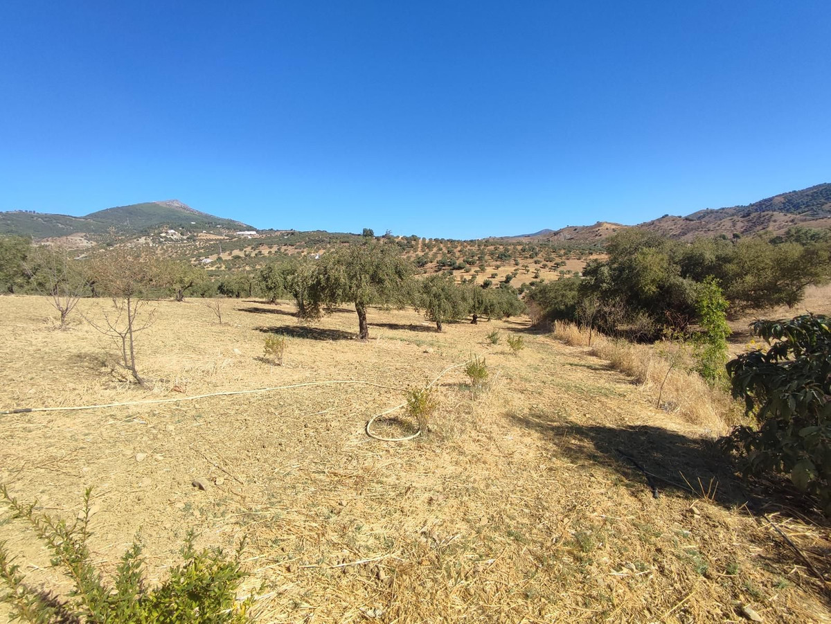 Se vende Terreno Rustico  en Costa Del Sol, Málaga, España