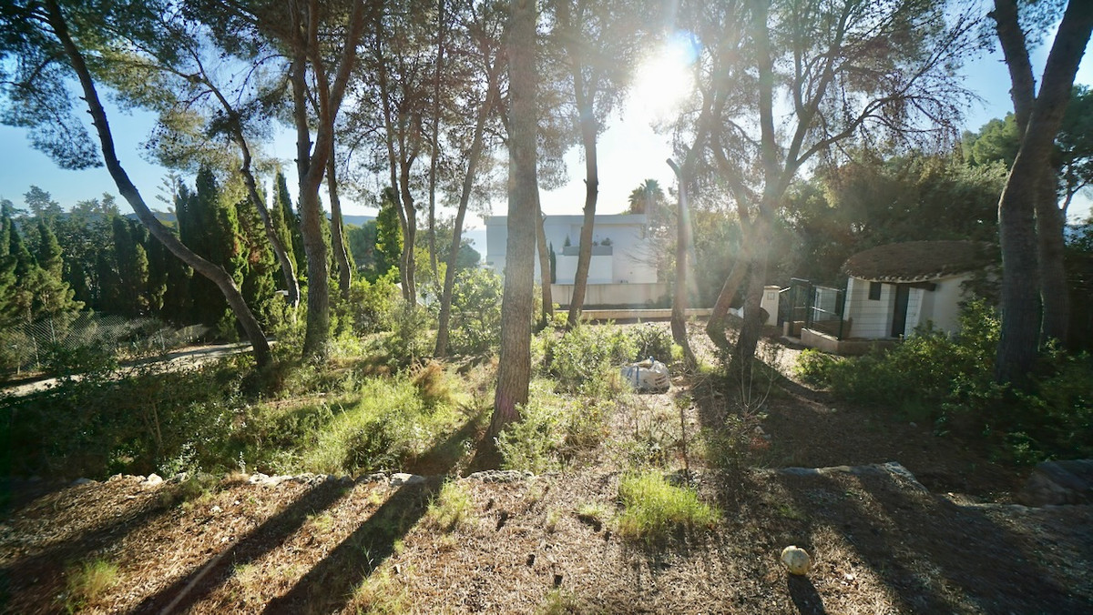 Se vende Terreno Rustico  en Costa Blanca, Alicante, España