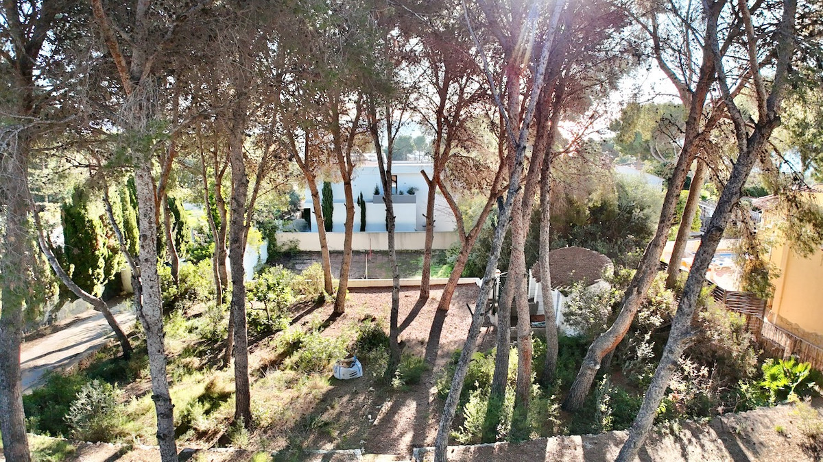 Se vende Terreno Rustico  en Costa Blanca, Alicante, España