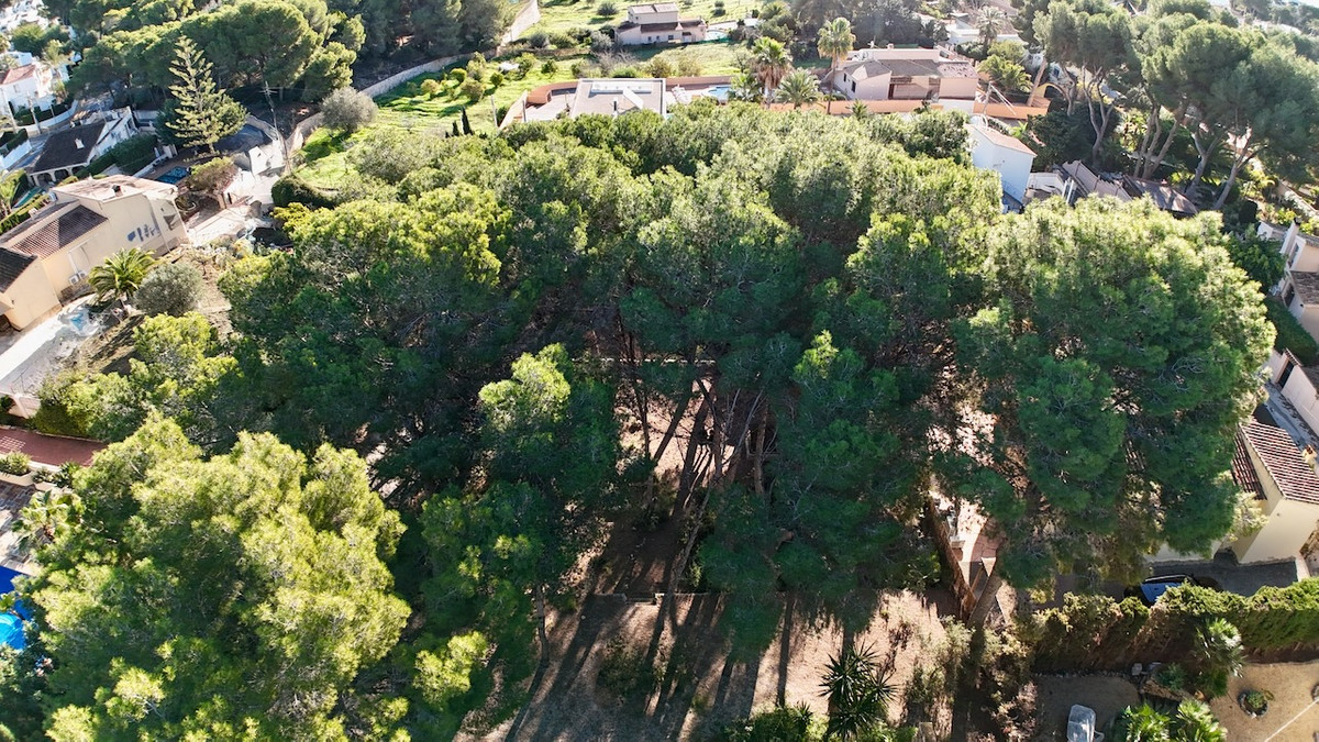 Se vende Terreno Rustico  en Costa Blanca, Alicante, España
