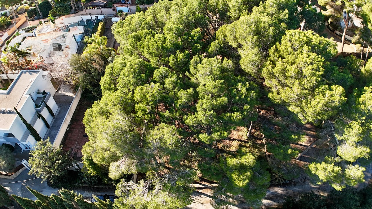 Se vende Terreno Rustico  en Costa Blanca, Alicante, España