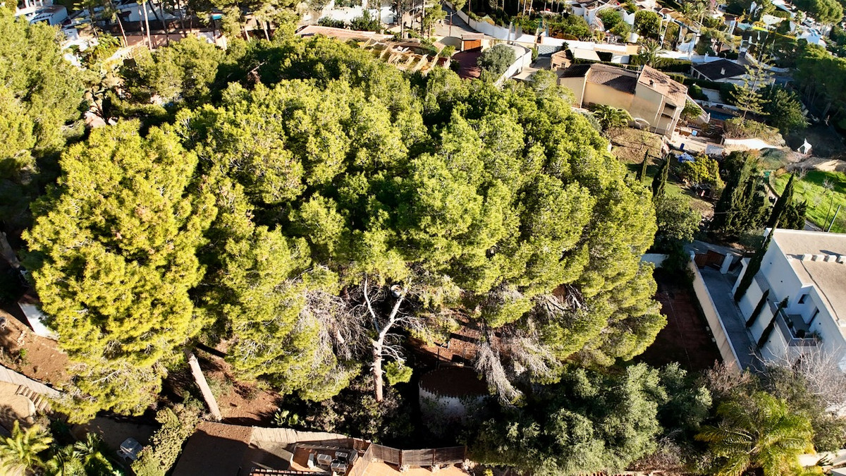 Se vende Terreno Rustico  en Costa Blanca, Alicante, España