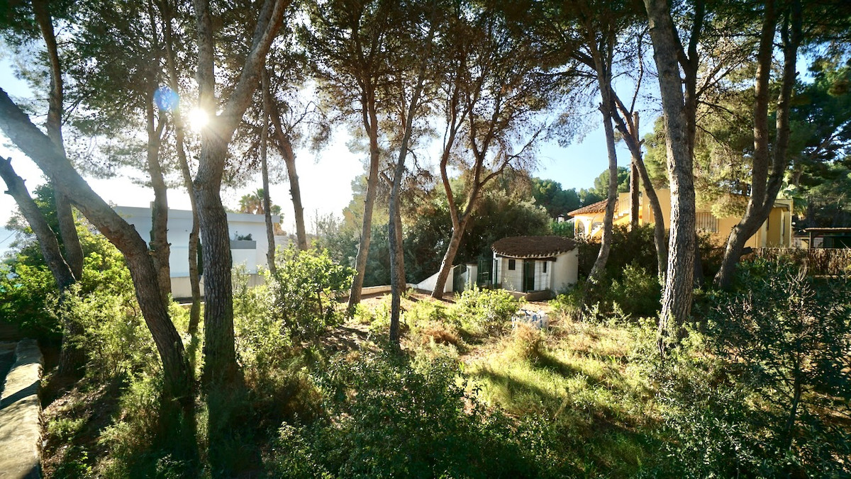 Se vende Terreno Rustico  en Costa Blanca, Alicante, España