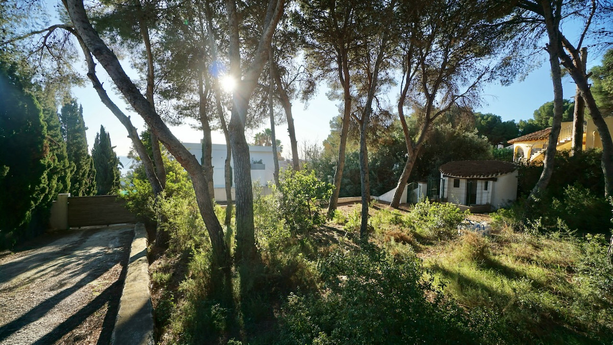 Se vende Terreno Rustico  en Costa Blanca, Alicante, España