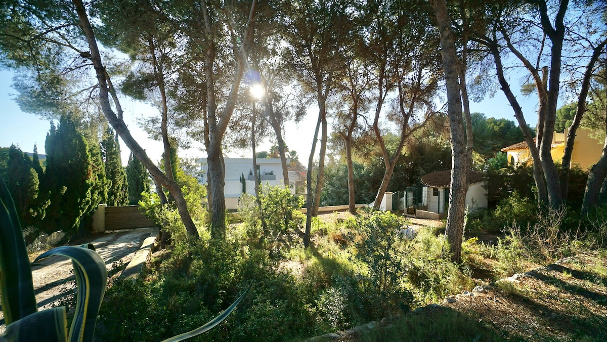 Se vende Terreno Rustico  en Costa Blanca, Alicante, España
