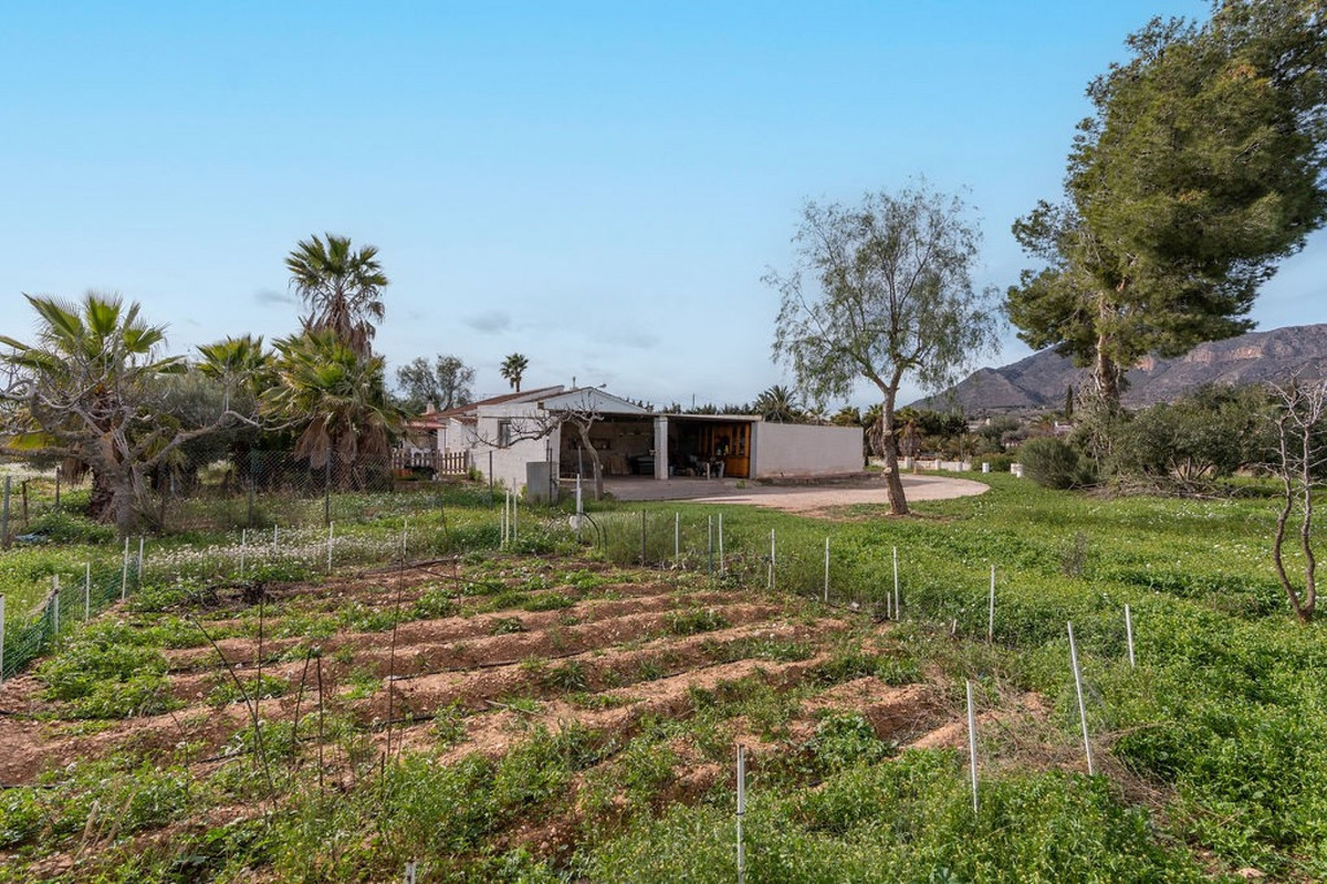 Se vende Finca - Cortijo de 3 dormitorios en Costa Blanca, Alicante, España