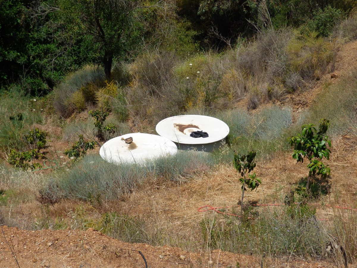 Se vende Finca - Cortijo de 6 dormitorios en Costa Del Sol, Málaga, España
