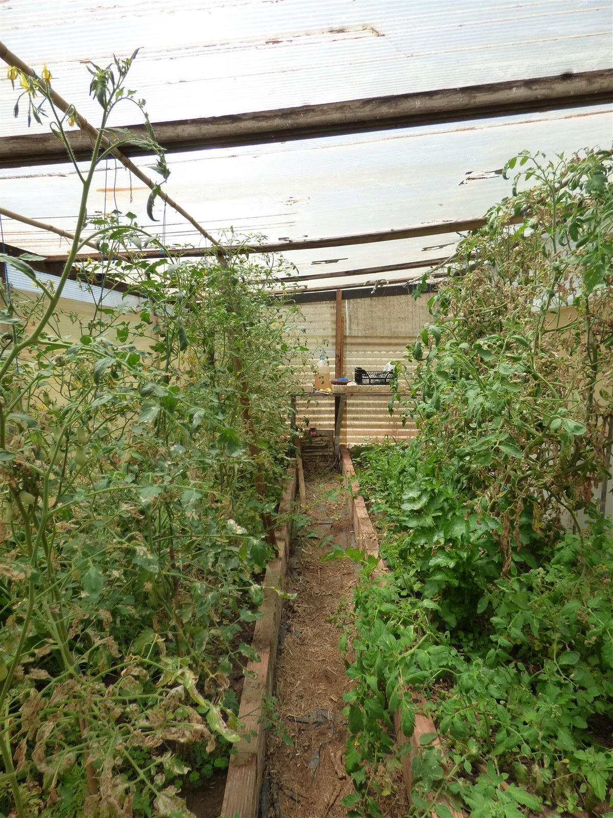 Se vende Finca - Cortijo de 6 dormitorios en Costa Del Sol, Málaga, España