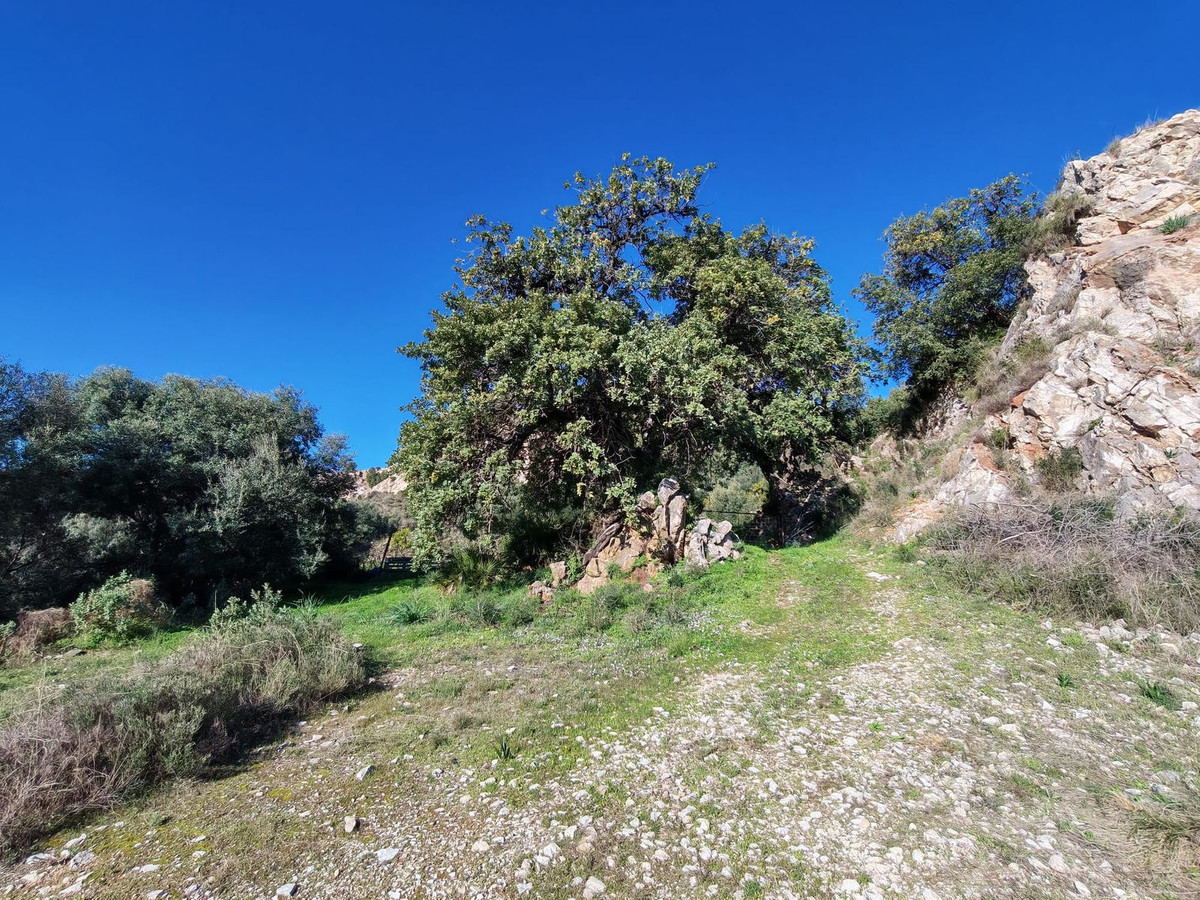 Plots for sale in Marbella Costa Del Sol, Málaga, Spain