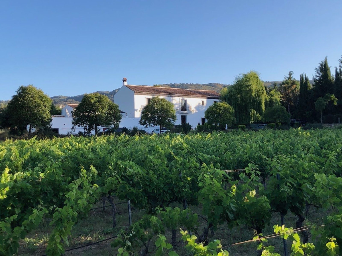 7 Bed Commercial unit for sale in Ronda Costa Del Sol, Málaga, Spain