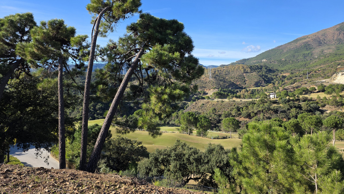 Se vende Terreno Rustico  en Costa Del Sol, Málaga, España