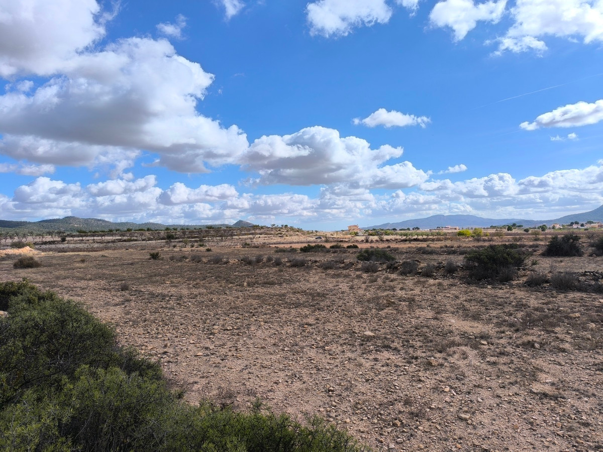 Se vende Terreno Rustico  en Costa Blanca, Alicante, España
