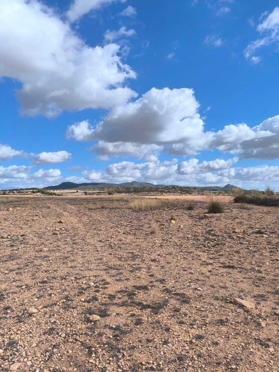 Se vende Terreno Rustico  en Costa Blanca, Alicante, España