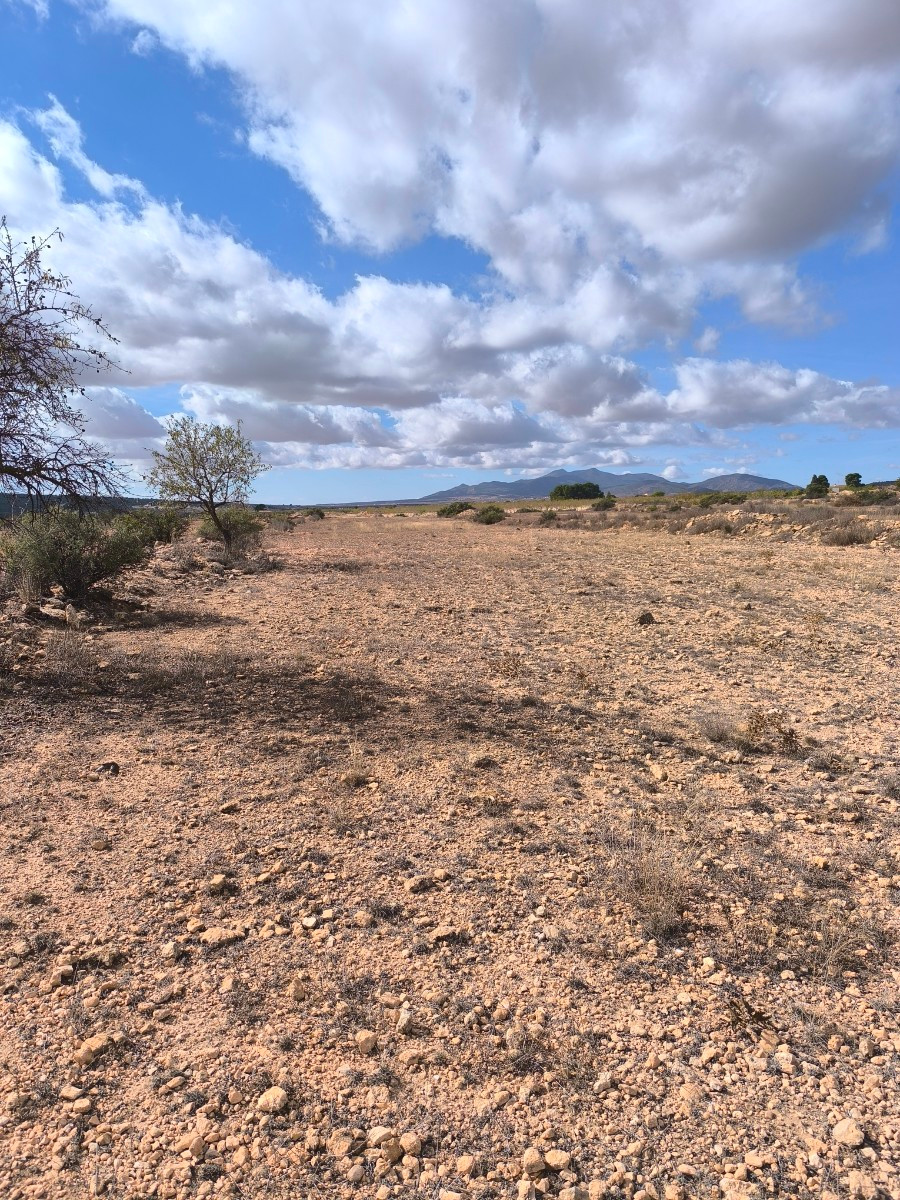 Se vende Terreno Rustico  en Costa Blanca, Alicante, España