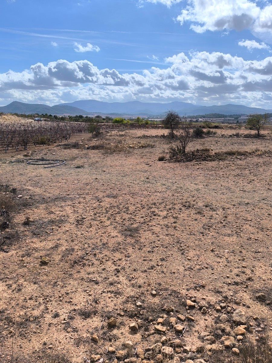Se vende Terreno Rustico  en Costa Blanca, Alicante, España