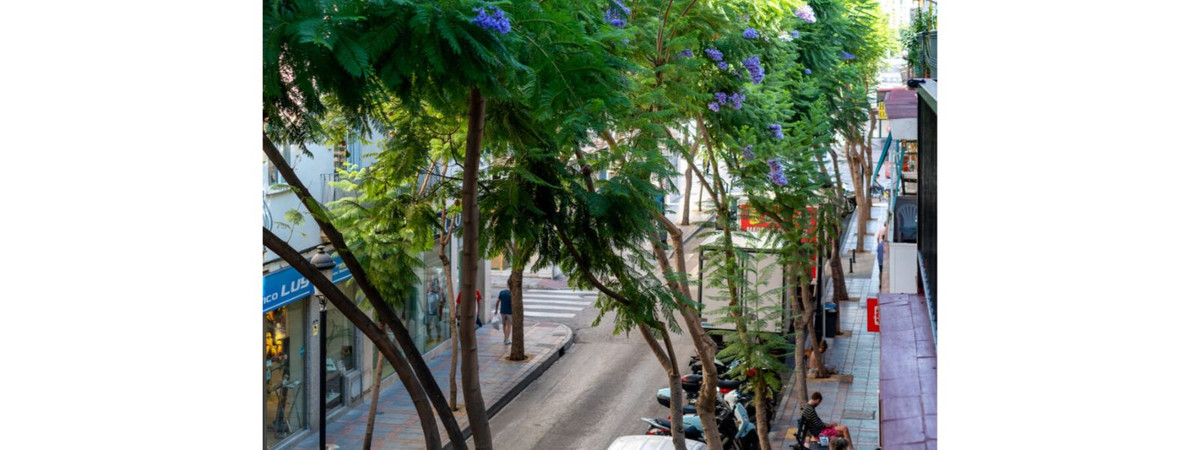 Se vende Apartamento Planta Media de 3 dormitorios en Costa Del Sol, Málaga, España