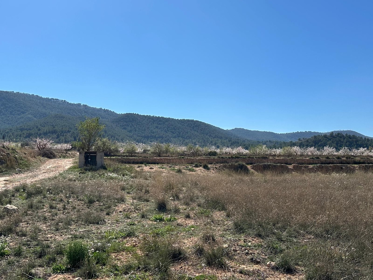 Se vende Terreno Rustico  en Costa Blanca, Alicante, España