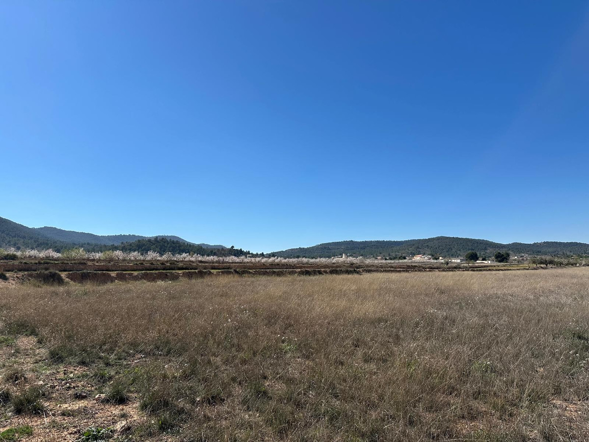 Se vende Terreno Rustico  en Costa Blanca, Alicante, España