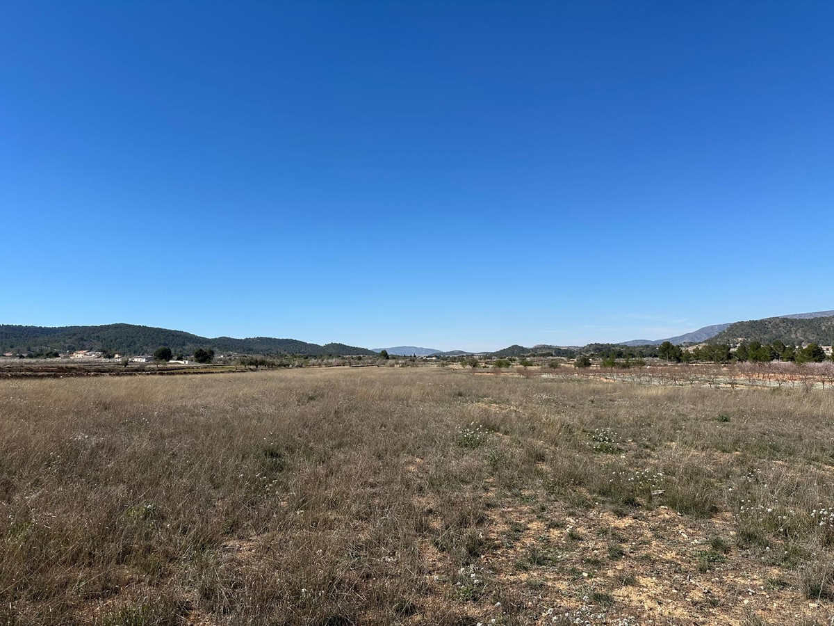 Se vende Terreno Rustico  en Costa Blanca, Alicante, España