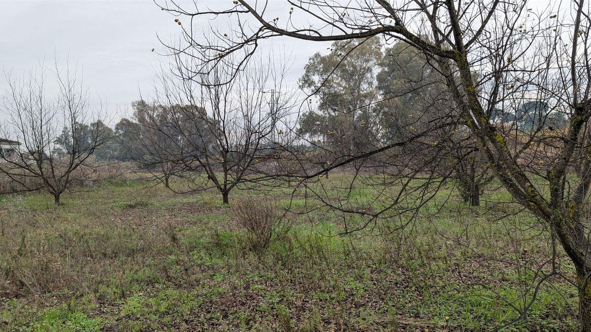 Se vende Terreno Rustico  en Costa Del Sol, Málaga, España