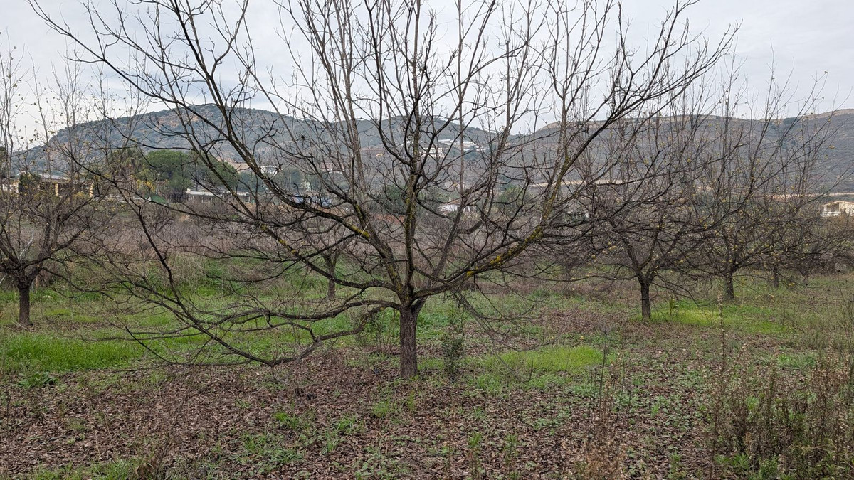 Se vende Terreno Rustico  en Costa Del Sol, Málaga, España