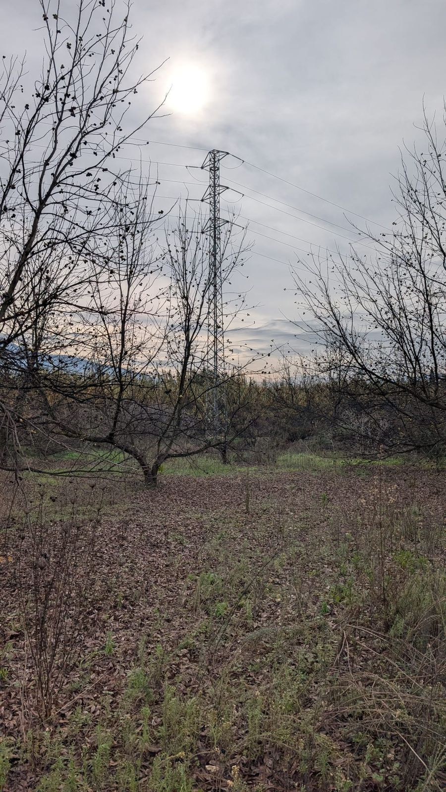 Se vende Terreno Rustico  en Costa Del Sol, Málaga, España