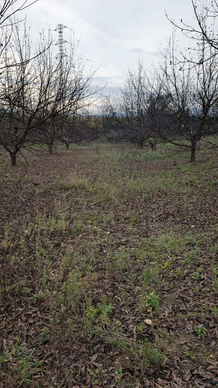 Se vende Terreno Rustico  en Costa Del Sol, Málaga, España