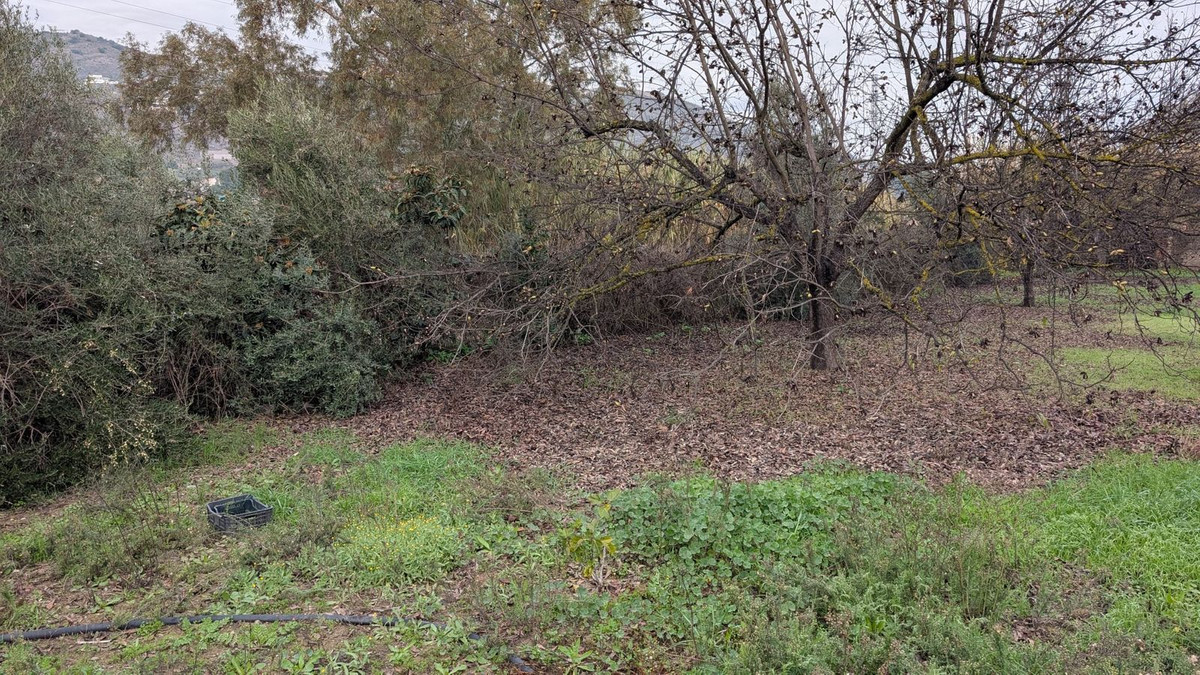 Se vende Terreno Rustico  en Costa Del Sol, Málaga, España