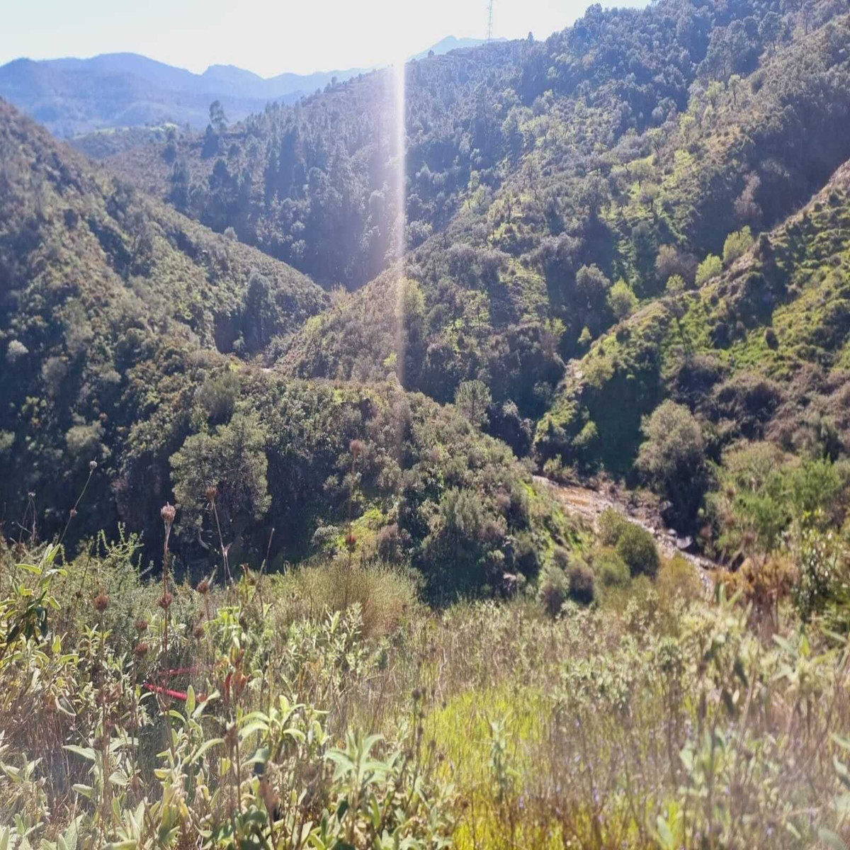 Plots for sale in Monda Costa Del Sol, Málaga, Spain