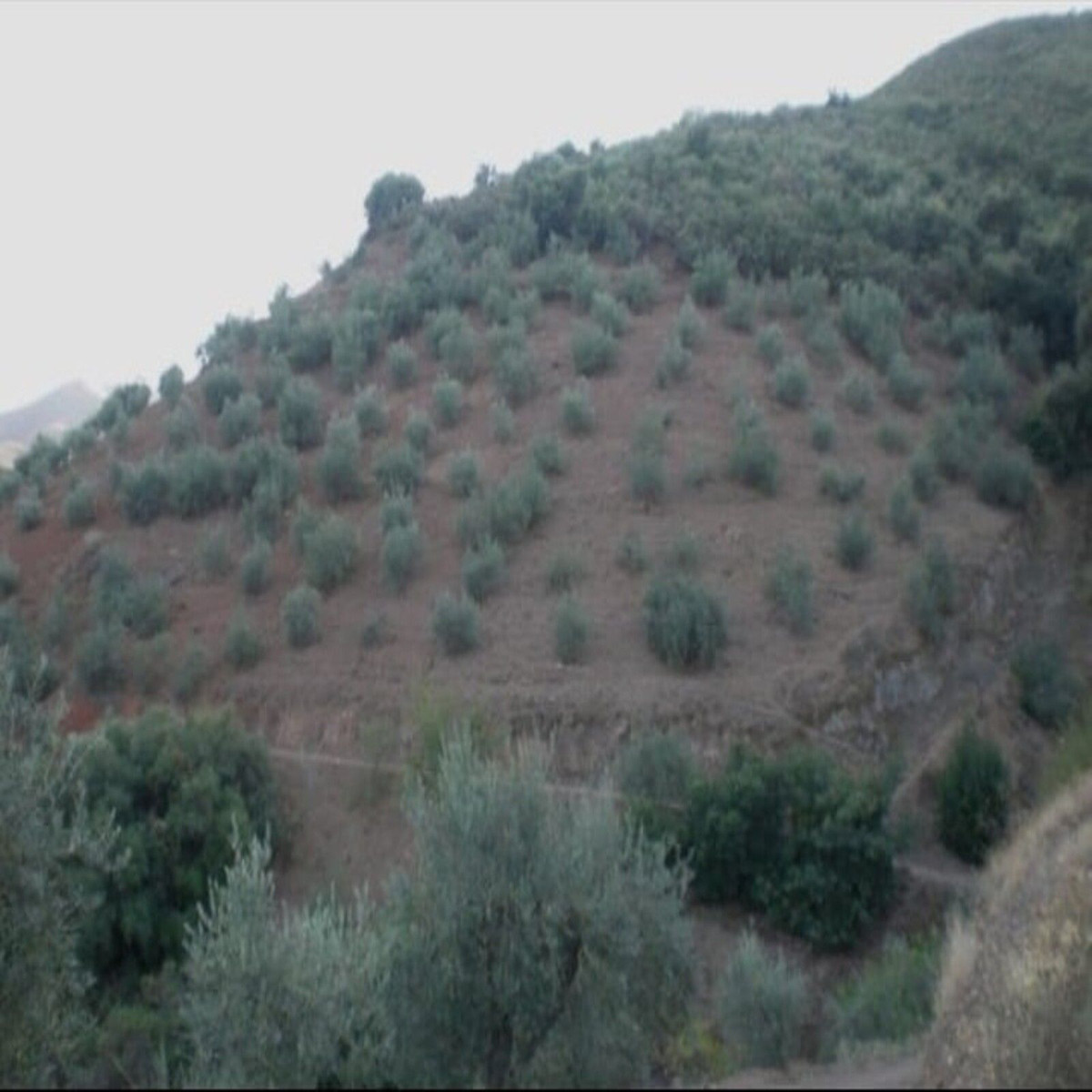 Plots for sale in Monda Costa Del Sol, Málaga, Spain