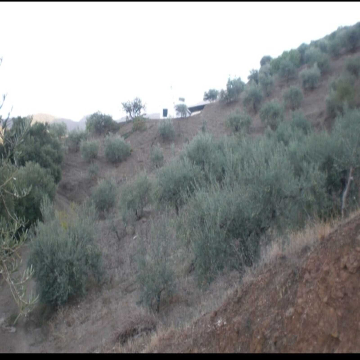 Plots for sale in Monda Costa Del Sol, Málaga, Spain