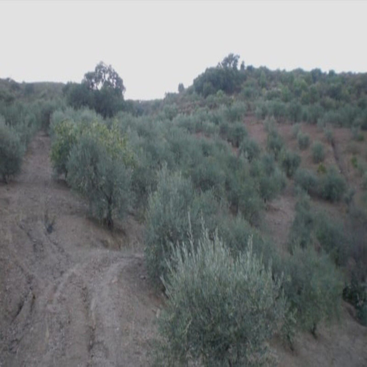 Plots for sale in Monda Costa Del Sol, Málaga, Spain