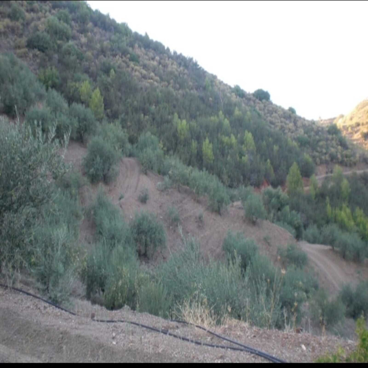 Plots for sale in Monda Costa Del Sol, Málaga, Spain