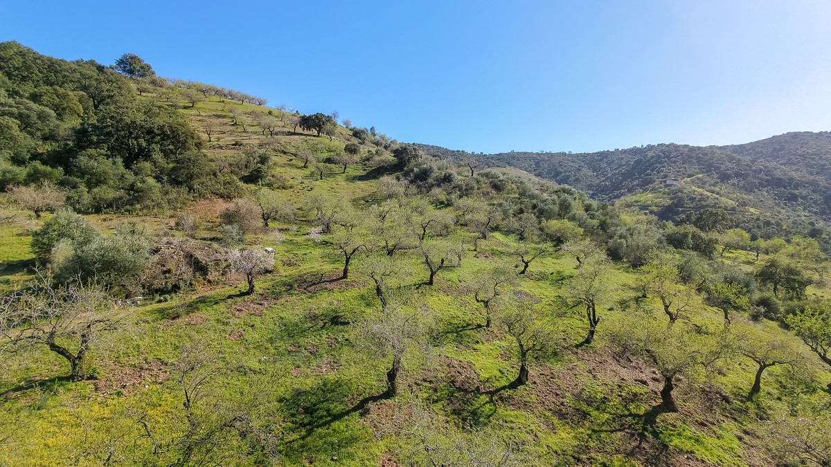 Se vende Terreno con Ruina  en Costa Del Sol, Málaga, España