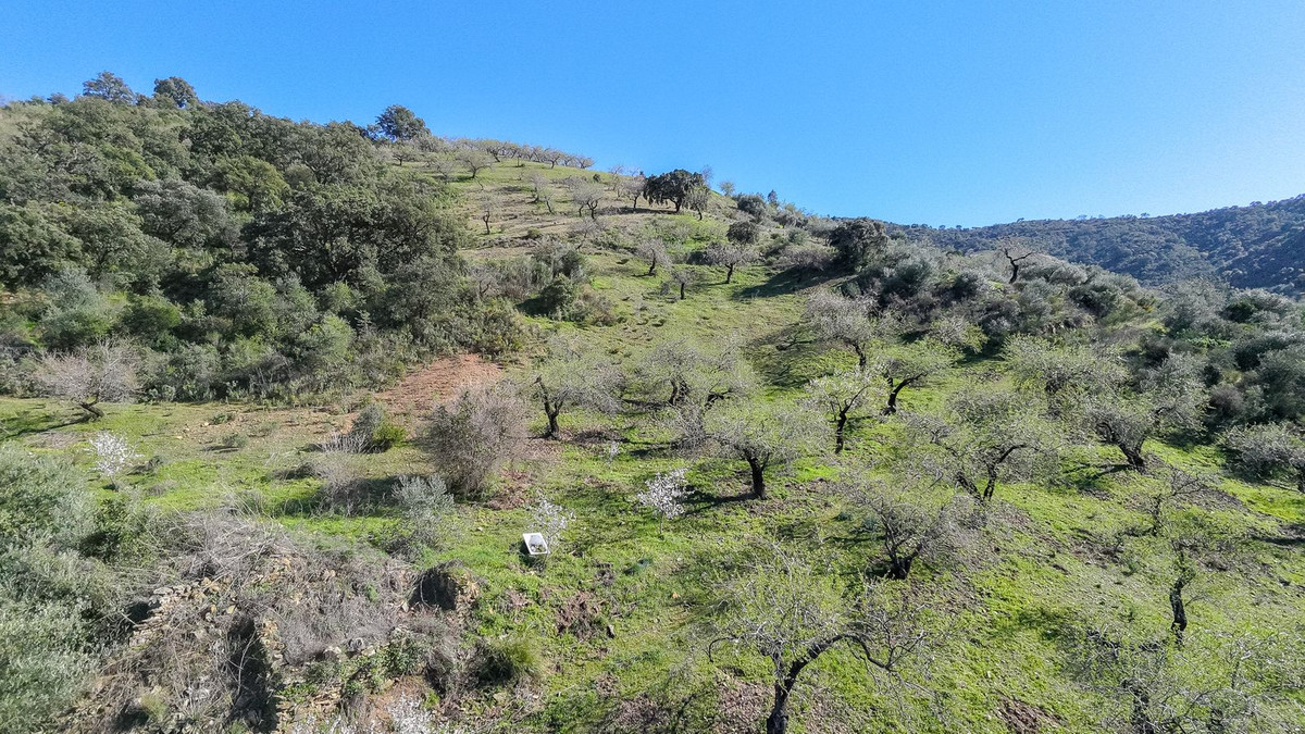Se vende Terreno con Ruina  en Costa Del Sol, Málaga, España