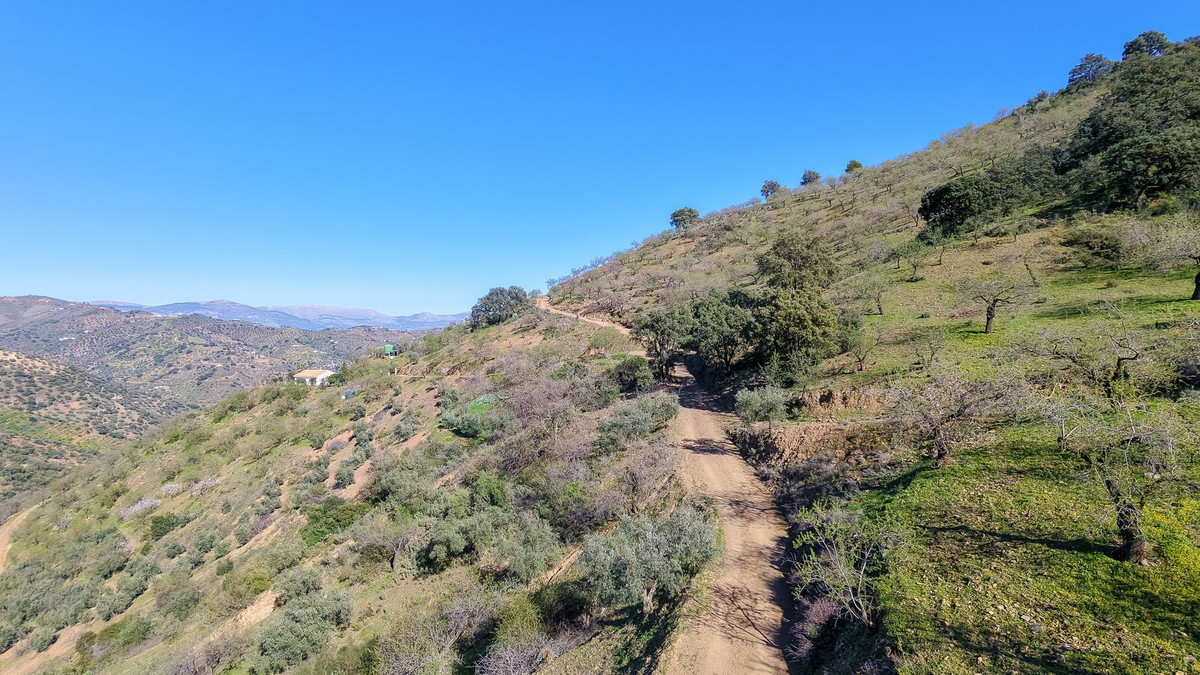 Se vende Terreno con Ruina  en Costa Del Sol, Málaga, España