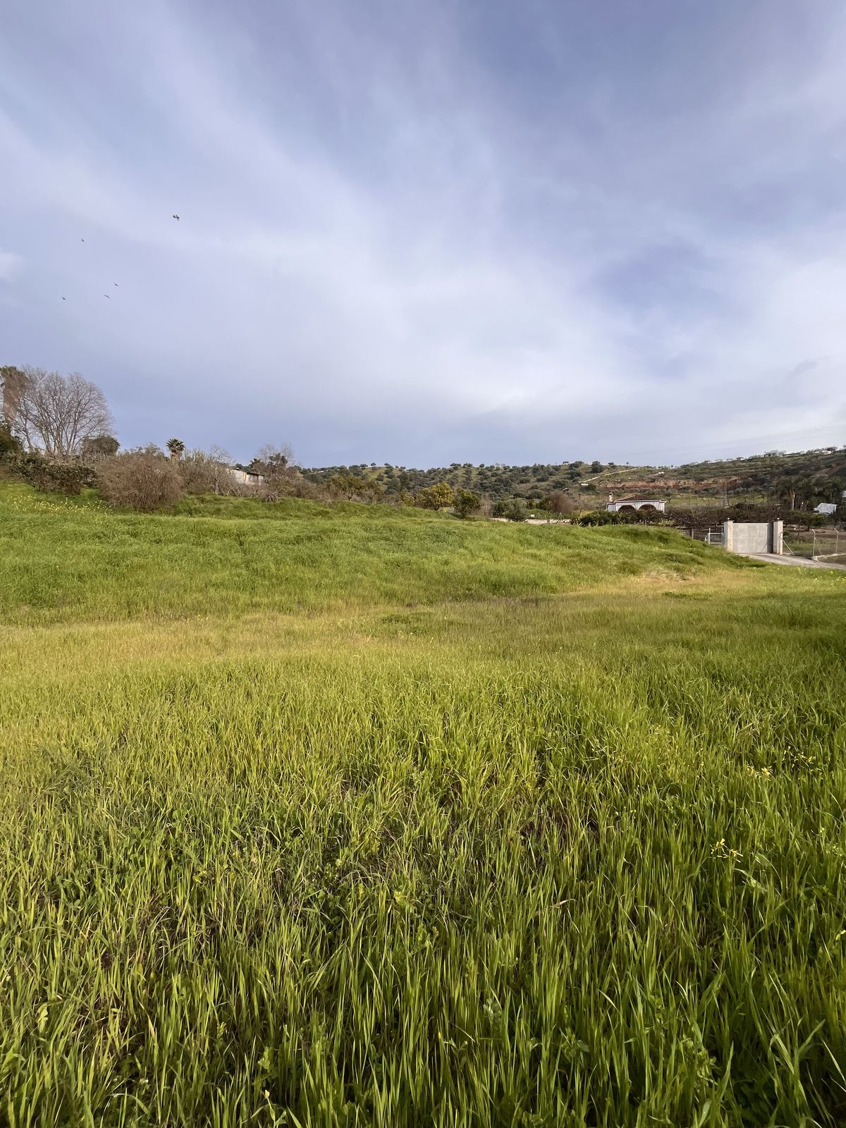 Se vende Terreno Rustico  en Costa Del Sol, Málaga, España