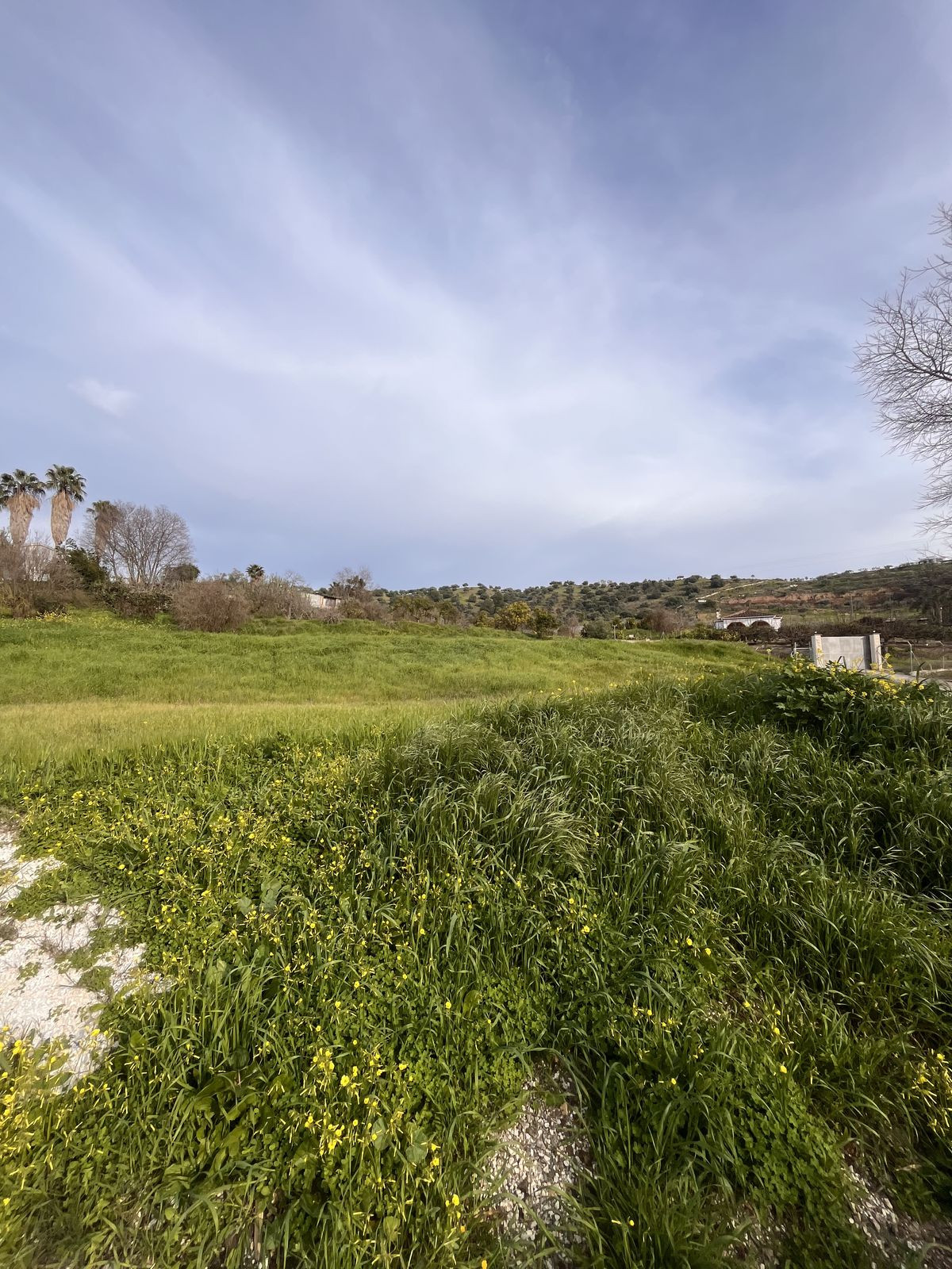 Se vende Terreno Rustico  en Costa Del Sol, Málaga, España