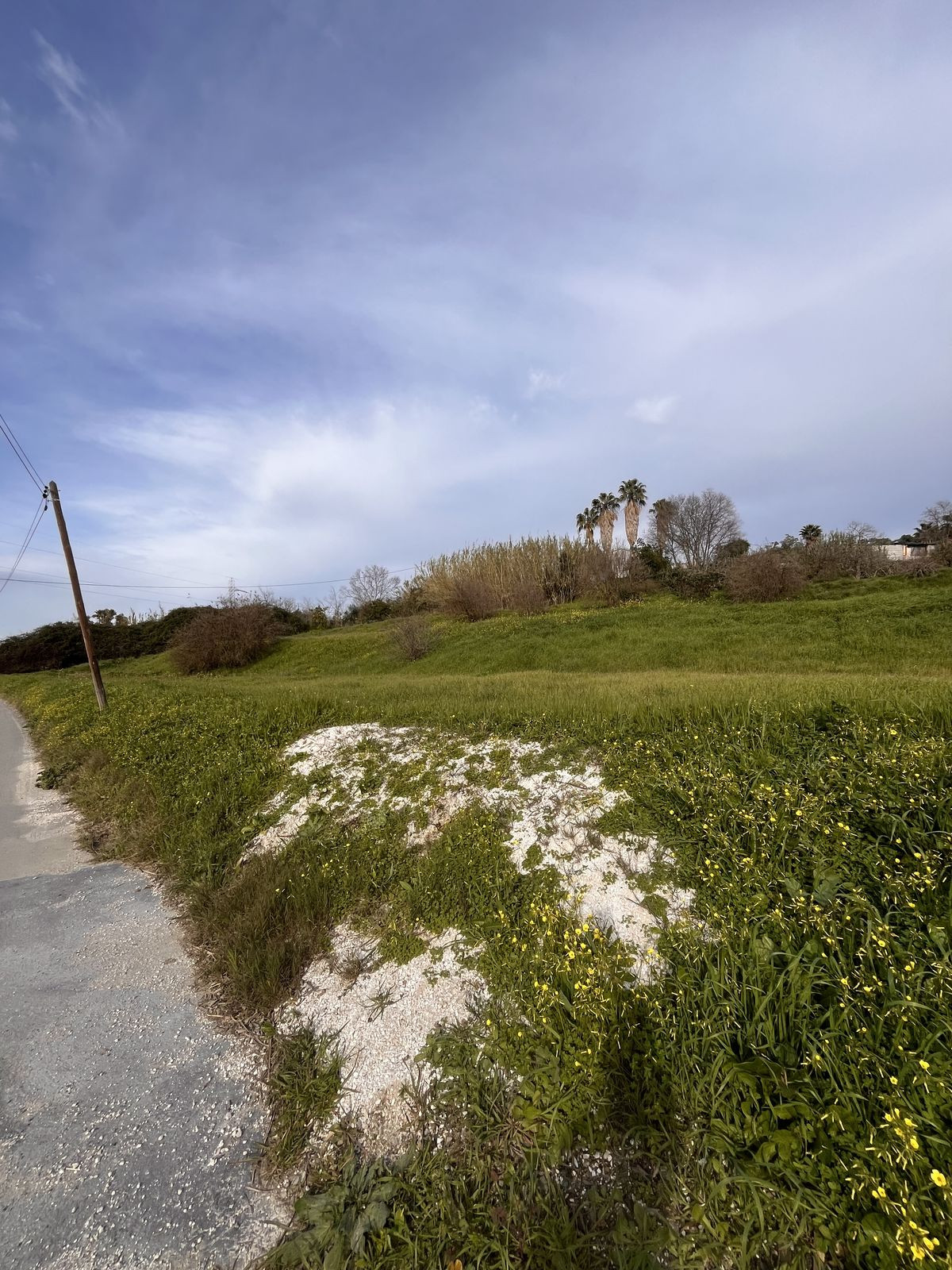 Se vende Terreno Rustico  en Costa Del Sol, Málaga, España