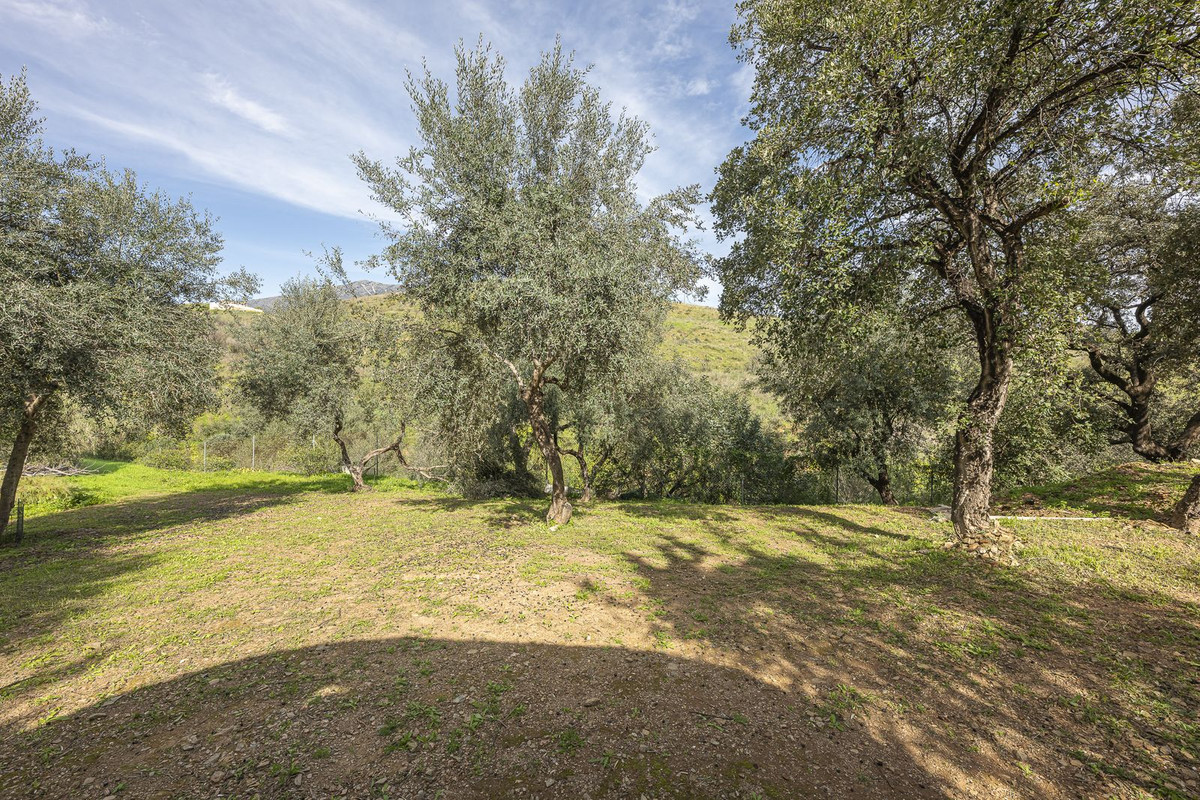 Se vende Villa - Chalet de 3 dormitorios en Costa Del Sol, Málaga, España