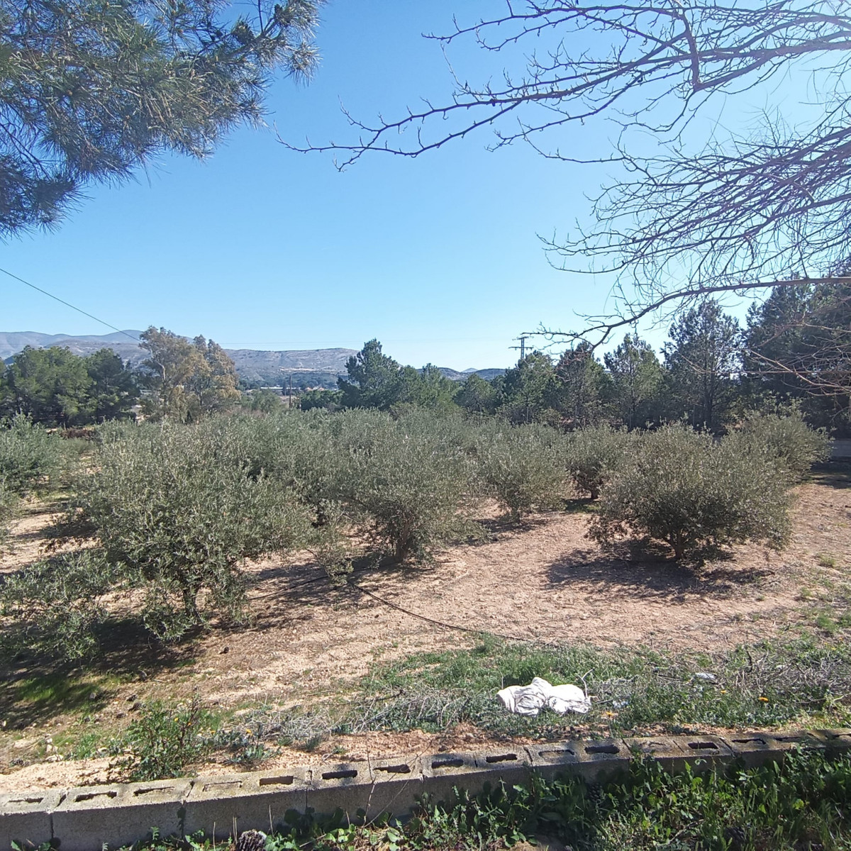 6 Bed Townhouse for sale in Elda Costa Blanca, Alicante, Spain
