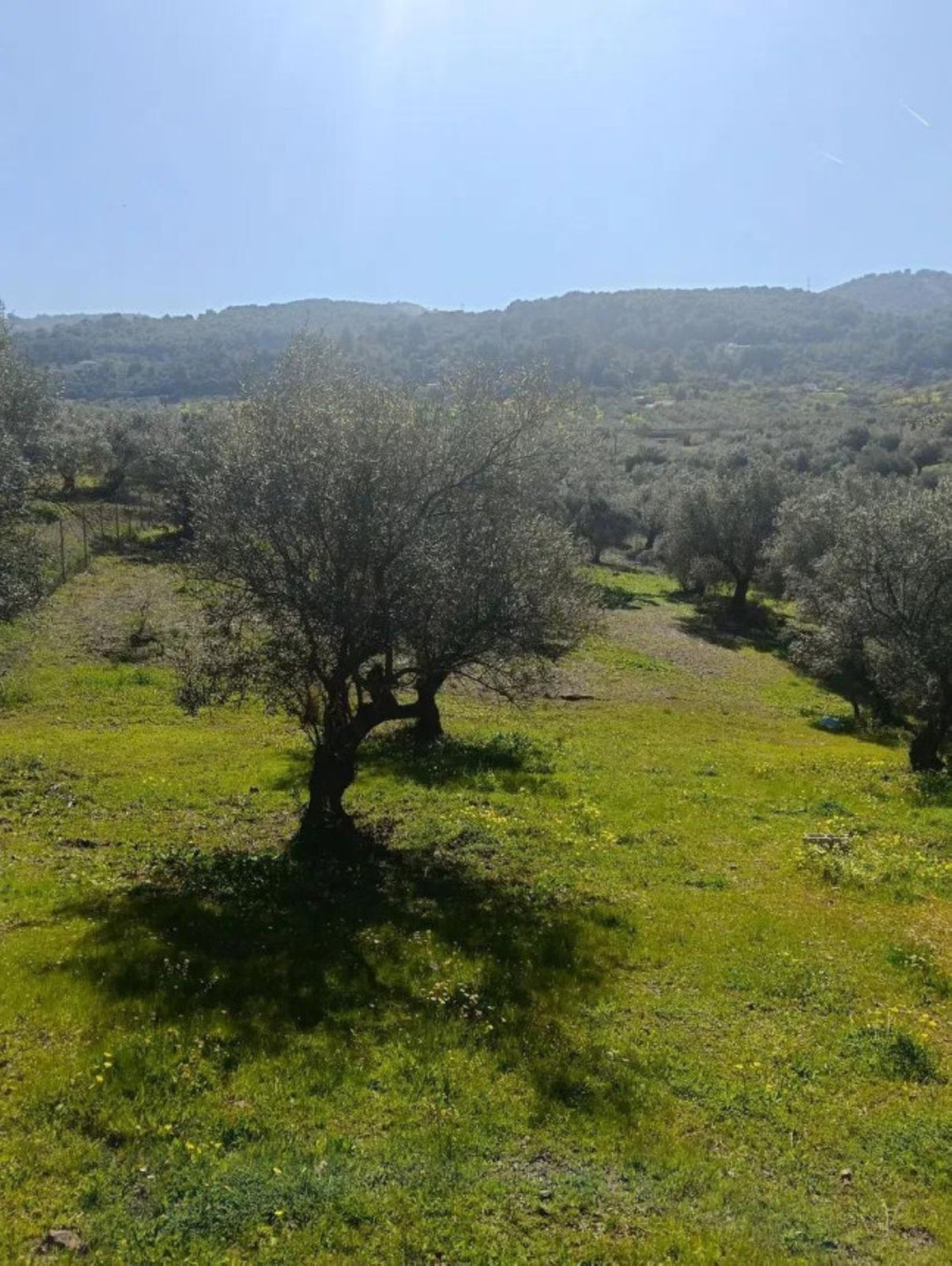 Se vende Terreno Rustico  en Costa Del Sol, Málaga, España