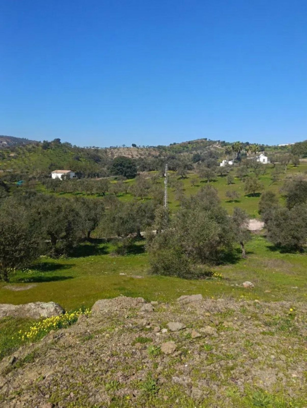 Se vende Terreno Rustico  en Costa Del Sol, Málaga, España