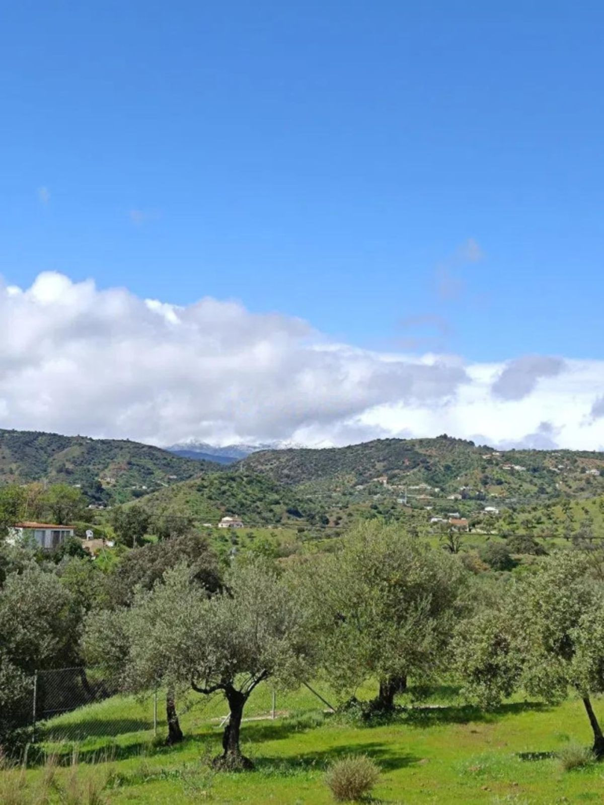 Se vende Terreno Rustico  en Costa Del Sol, Málaga, España