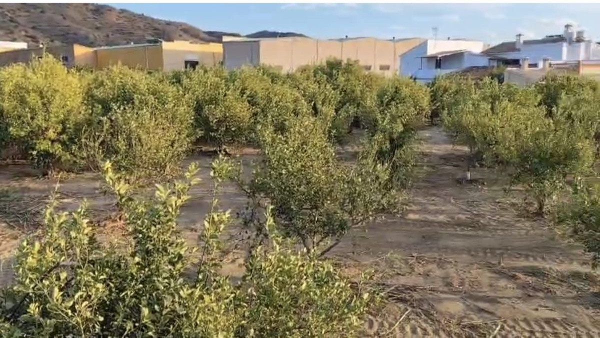Se vende Terreno Rustico  en Costa Del Sol, Málaga, España