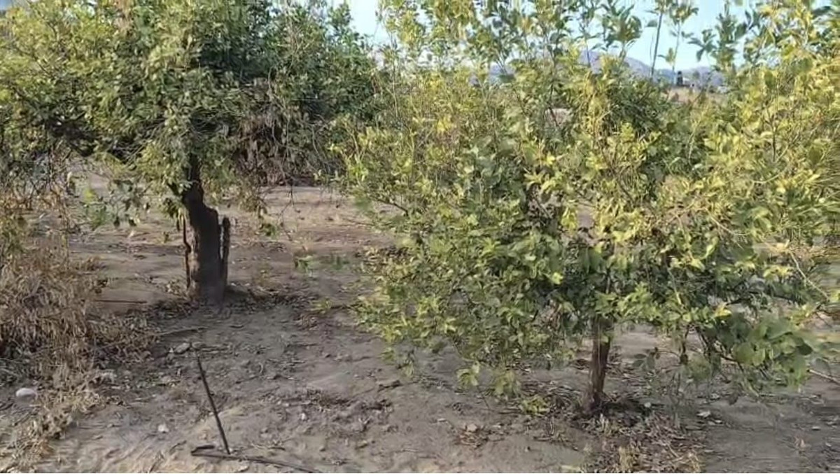Se vende Terreno Rustico  en Costa Del Sol, Málaga, España